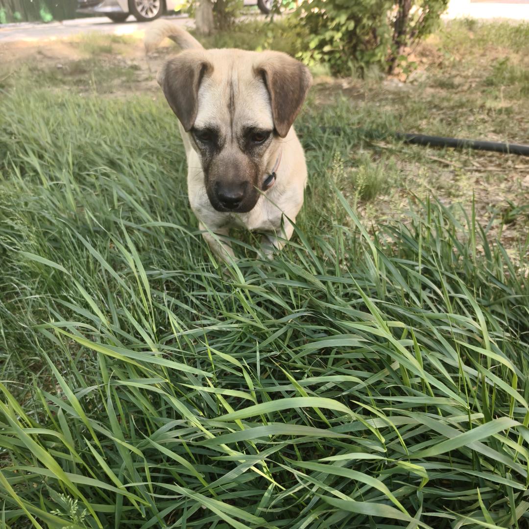 陪着蜗牛去看海