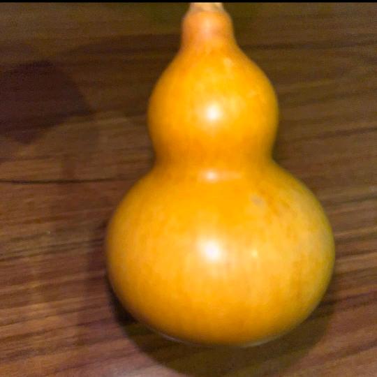 家有小可爱三个棉袄