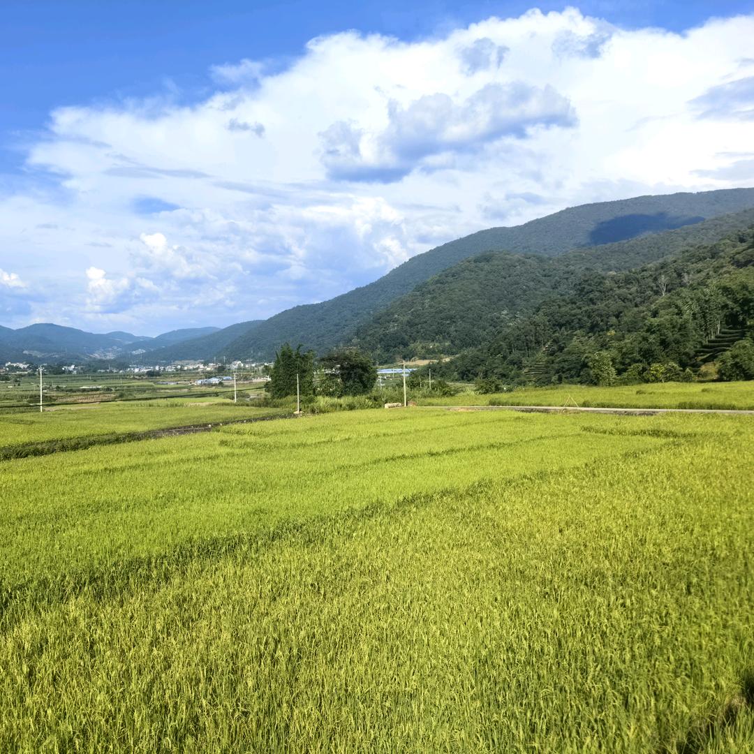老支书好农特