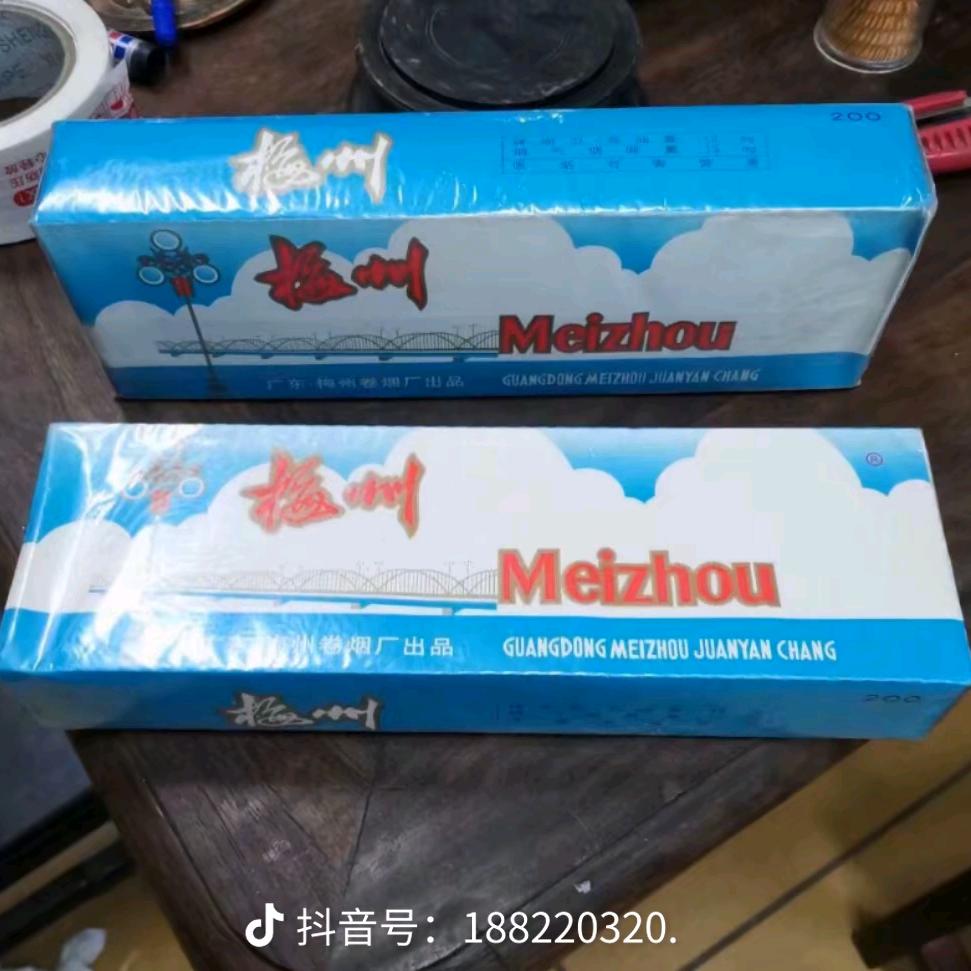 ♞重启人生⁵²⁰