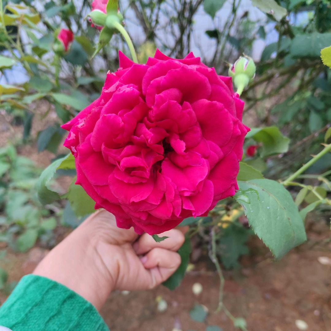 ℳ̶̶̶̶♡̶҉后来꧔ꦿ℘
