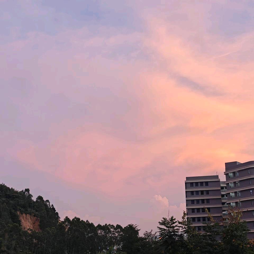 善缘