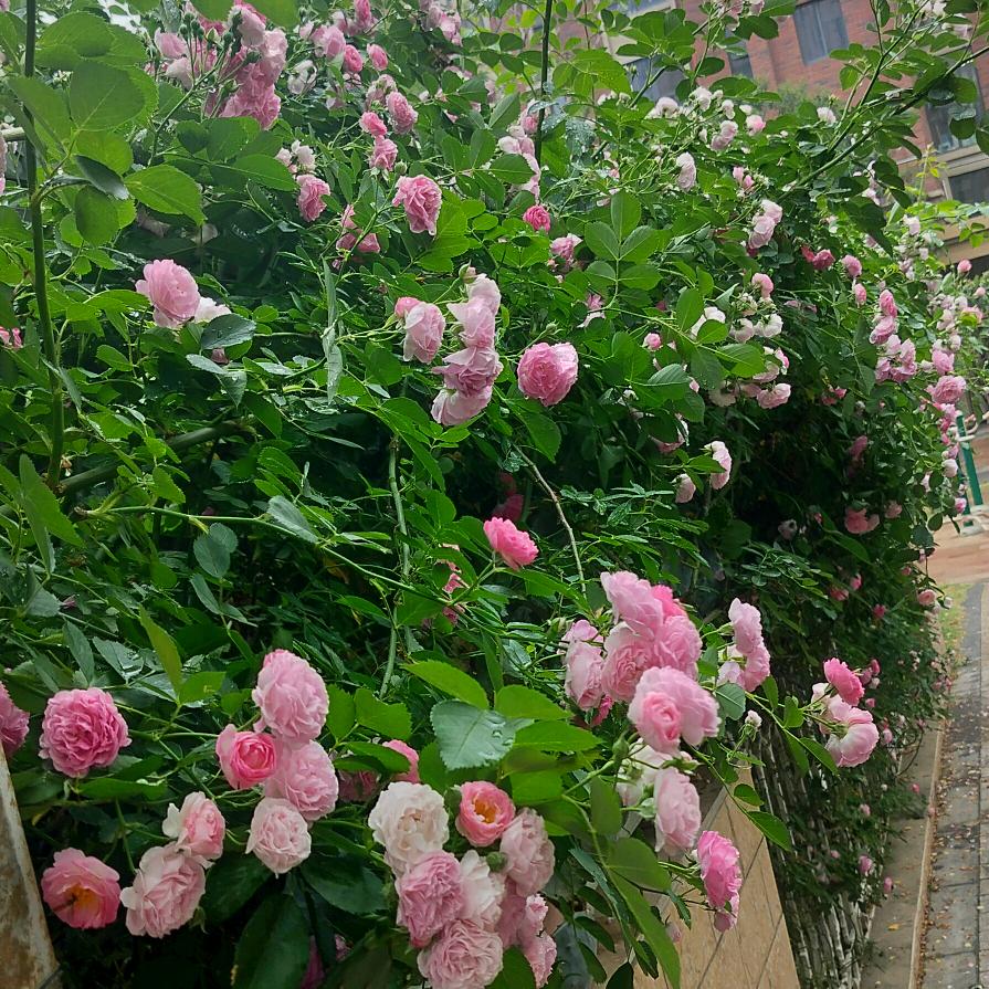 忘记过去，重新开始加油