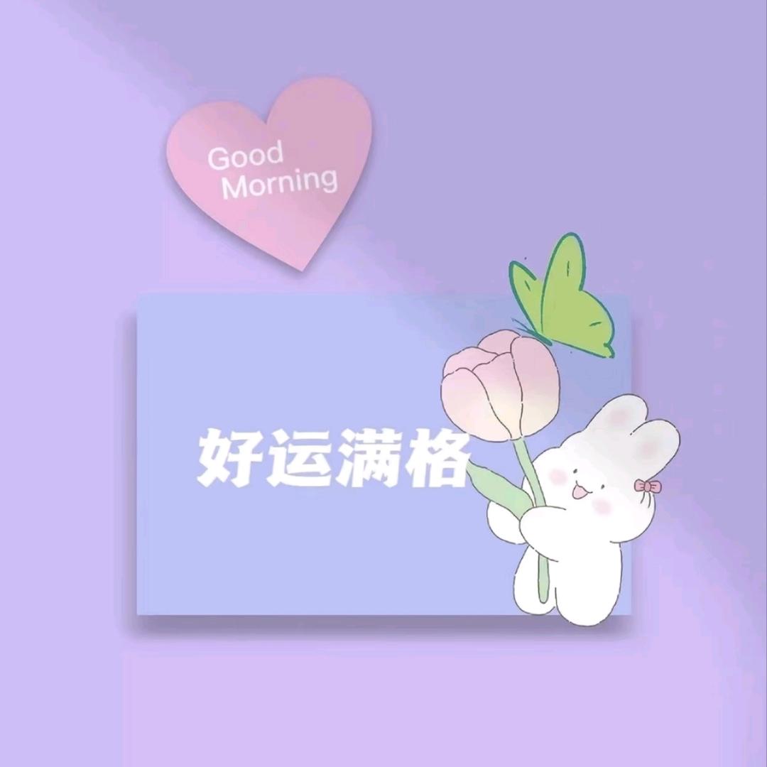 请你恰恰