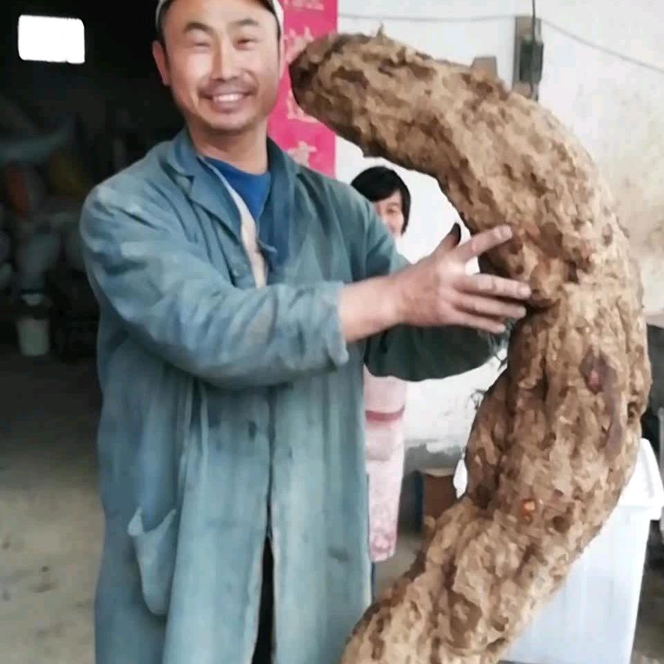 王新明碾米，葛根粉