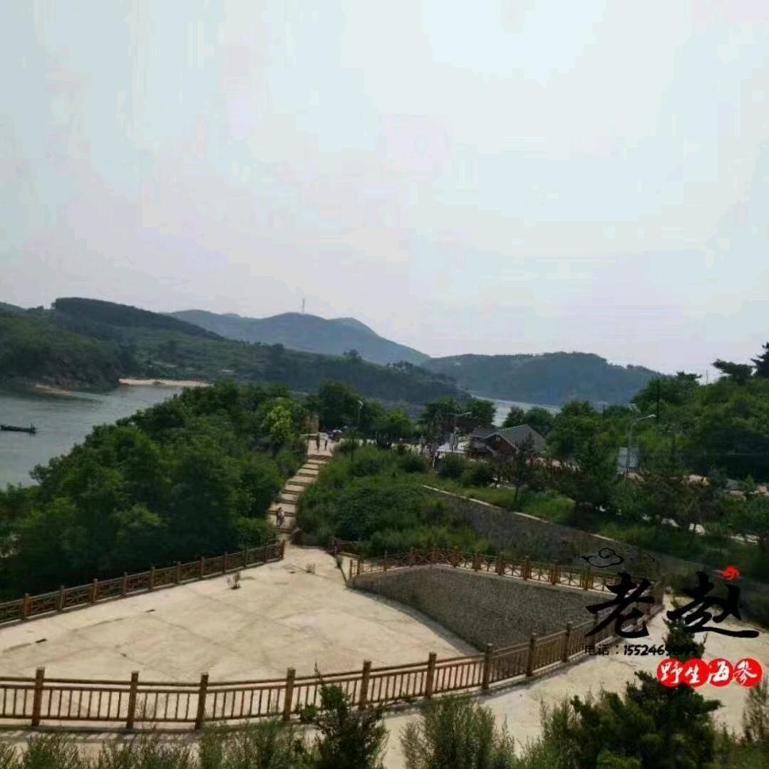 鹏哥优选