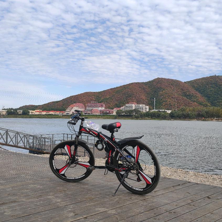 👑🦄随☘️风🍀1608🀄🧧