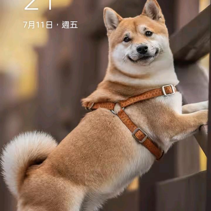 韩康