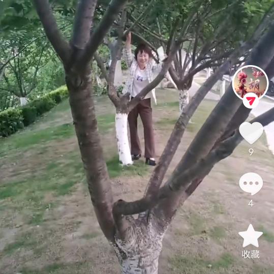 风轻云淡d