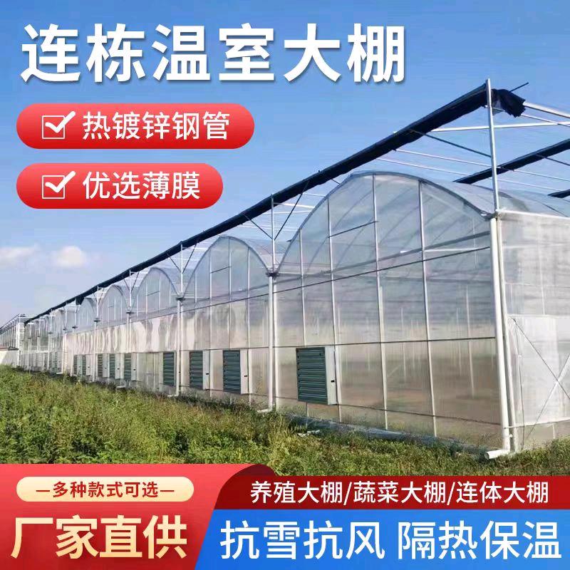刘老师钢架
