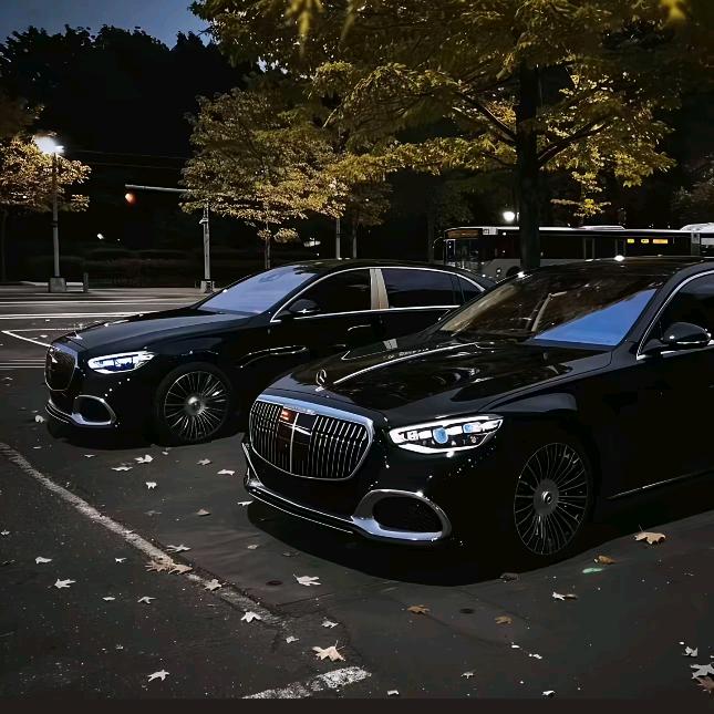 ᨳᤢ້໌ᮩᤣ白ɞ鹤᭄࿐