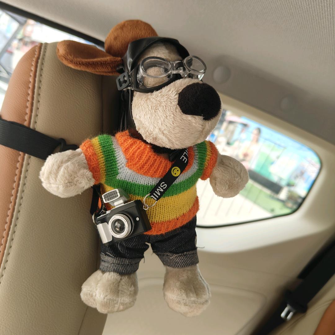 帅康电器+不锈钢橱柜