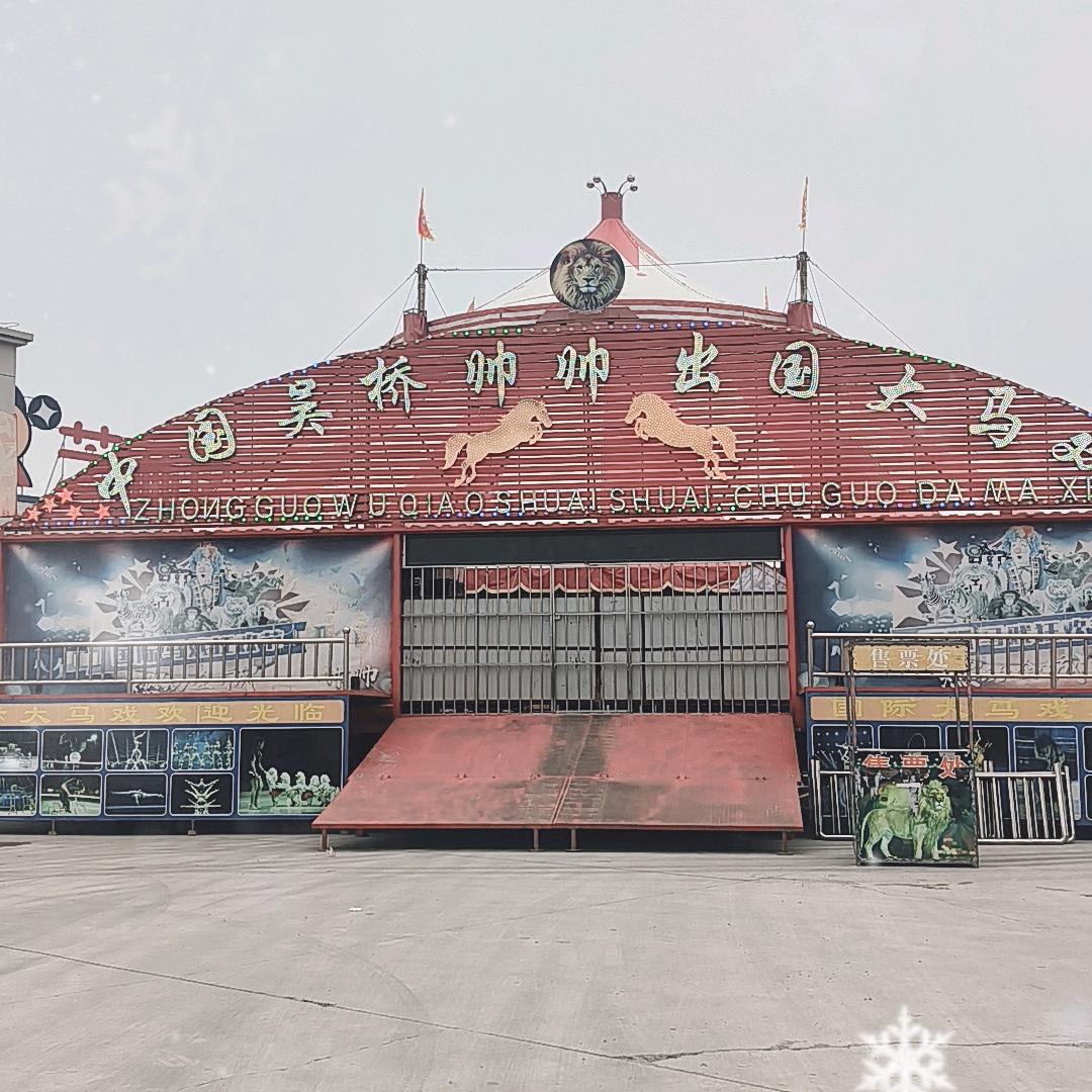 马戏推荐官小静