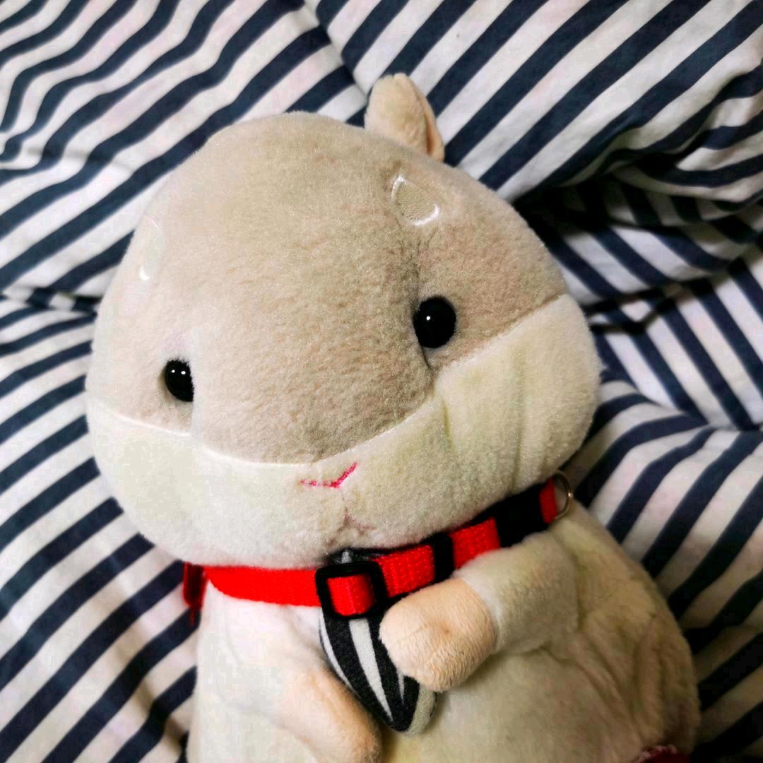 冒冒和比格贝尔