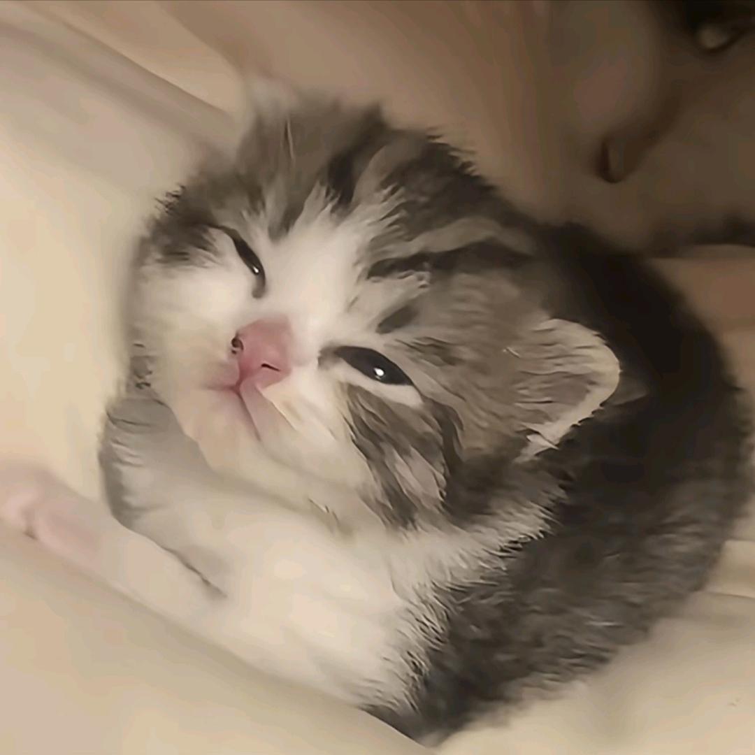 方也-𝒄𝒊𝒕𝒓𝒖𝒔-