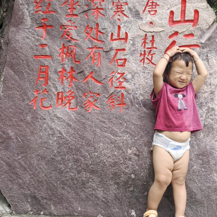 五星红旗迎风飘扬