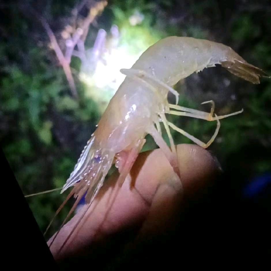 🇨🇳幽默先生