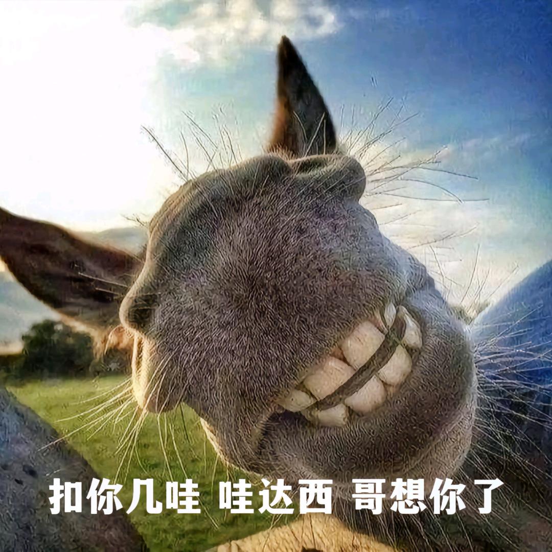路途ㅤ