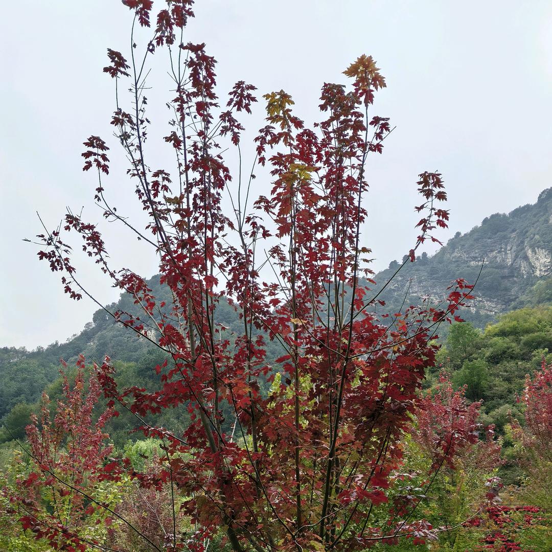 是润润呀！