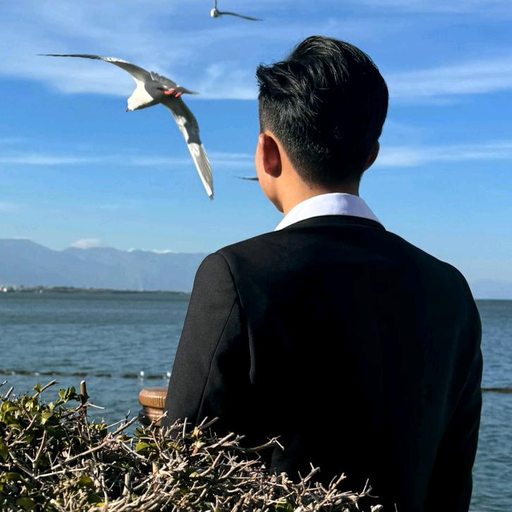 小举