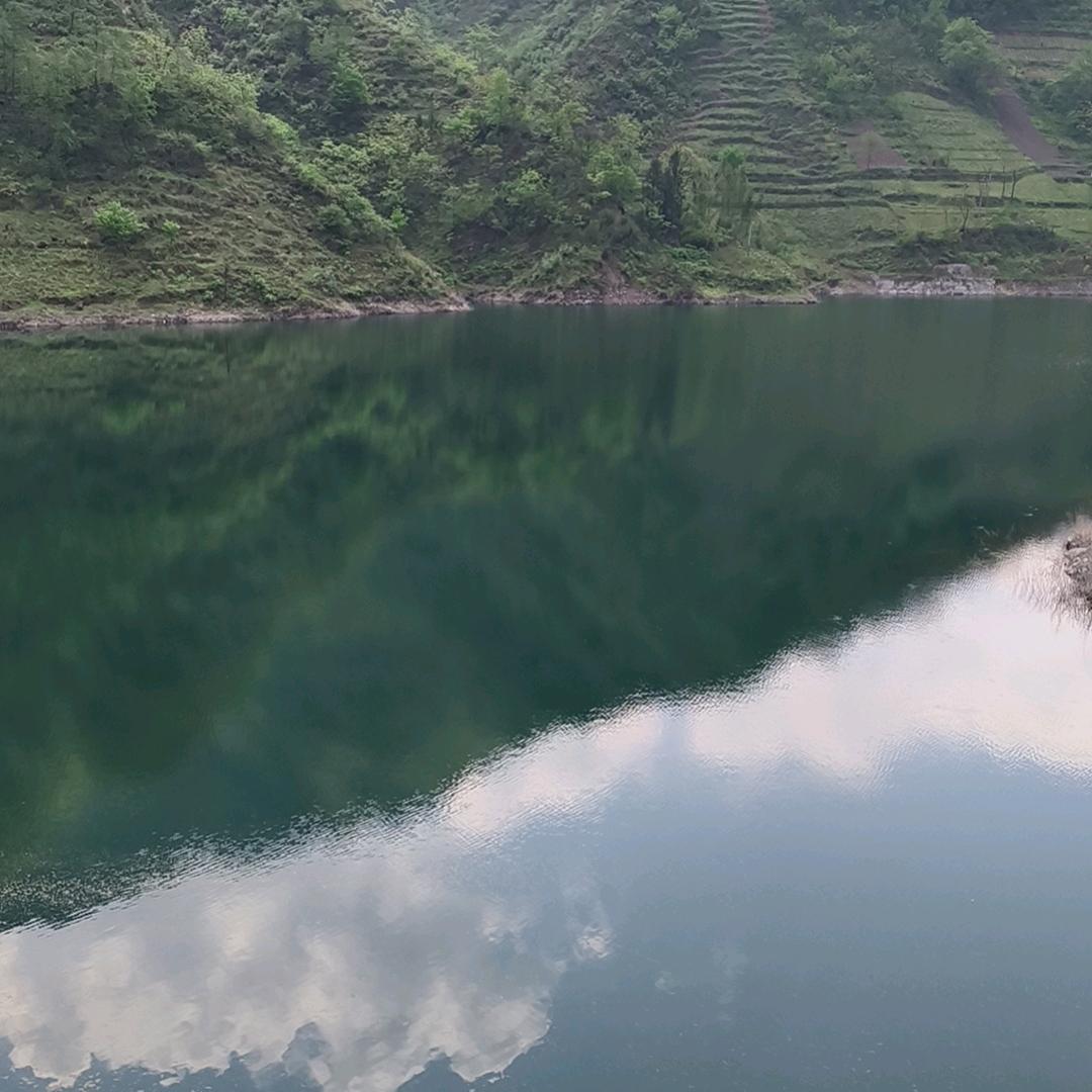 缘分