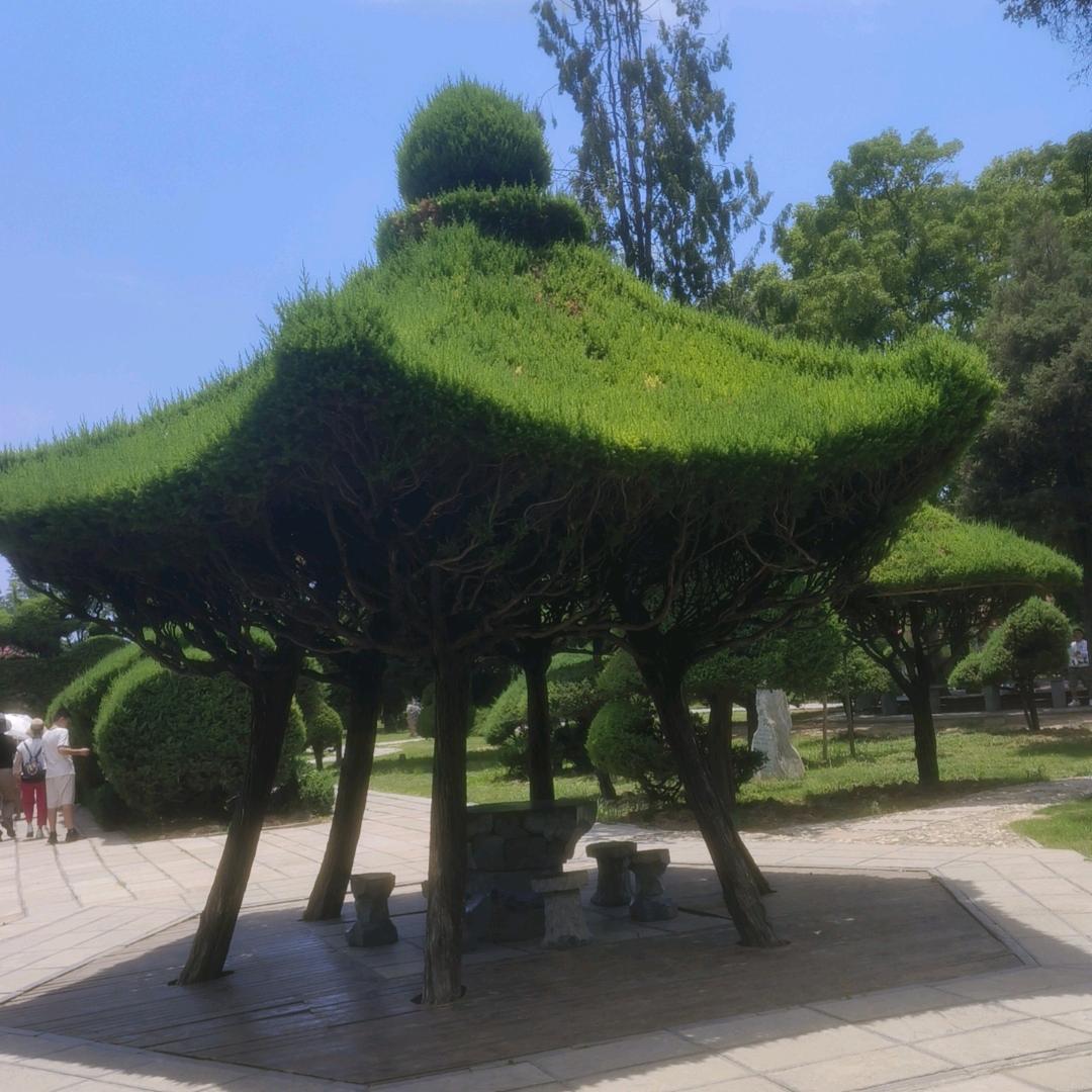 好事ོ花生🌸⃟֯֯֯࿐