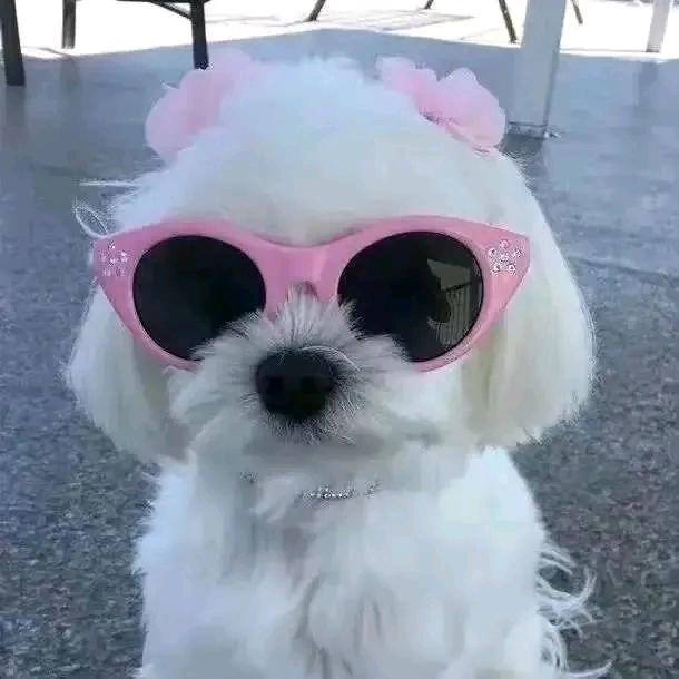 辣椒好酷