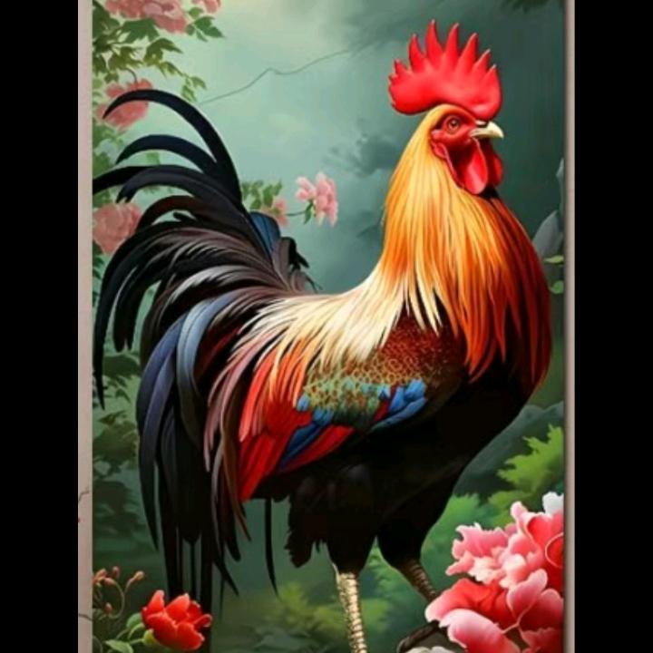 一试有成🍀🍀