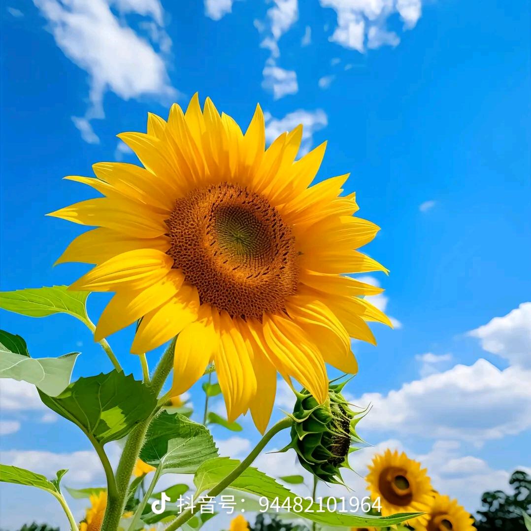 প꯭ᩚ༅余生💞安好ོ࿐