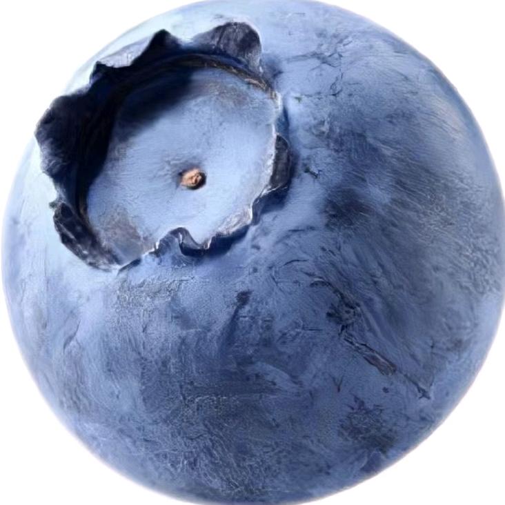 🌈修莓莓🍓🍓🌈