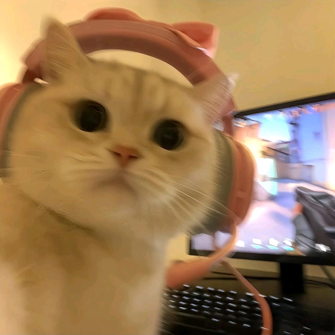 蛋挞公主ⁱˡᵘᵒ