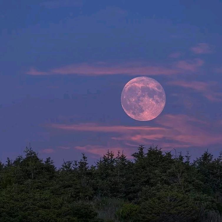 赛赛的穿戴甲店铺