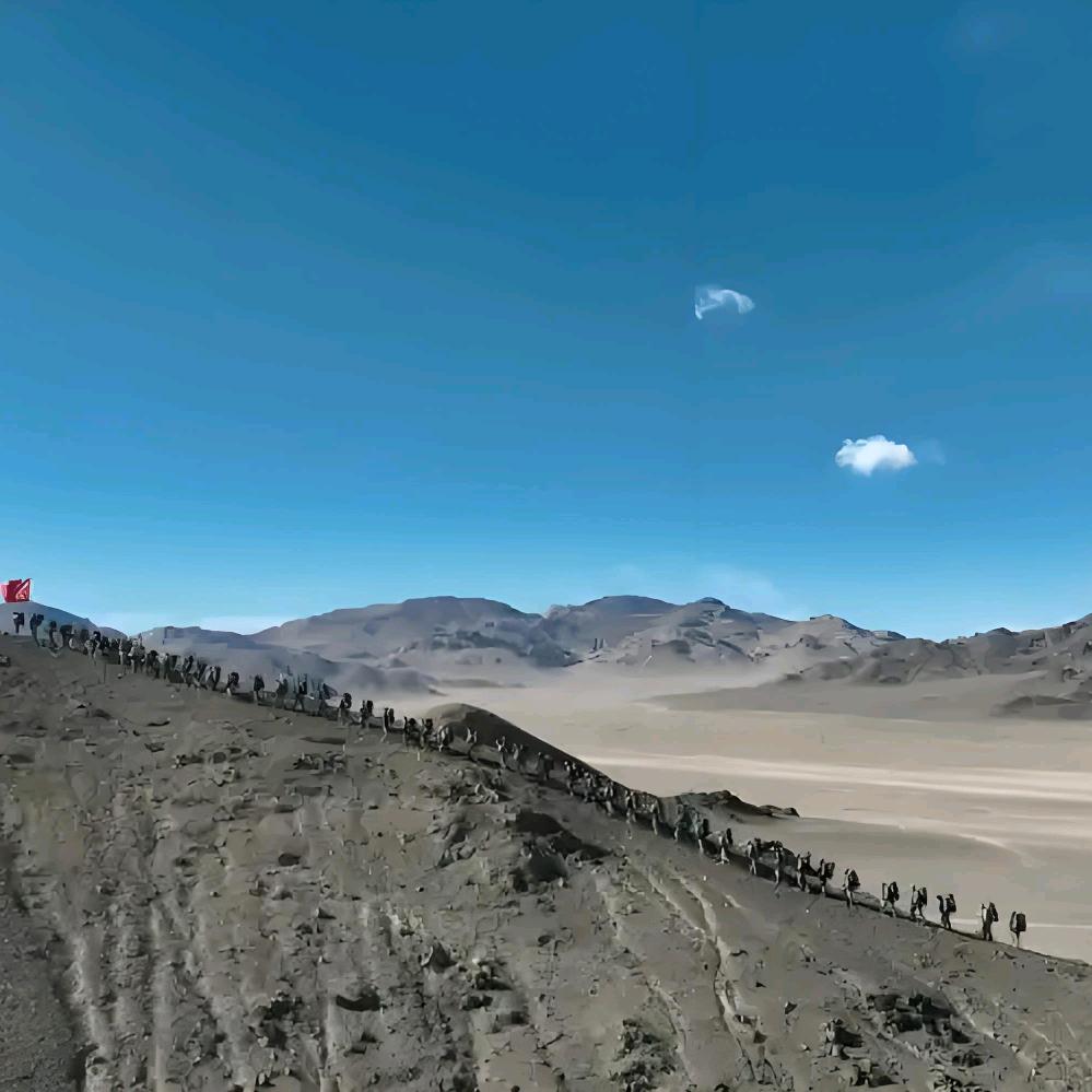 传统美德(正能量)