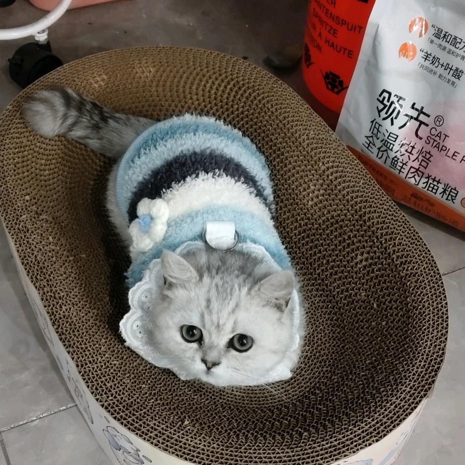 刘海军一格林美