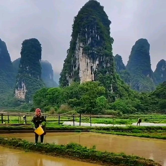 有你💍真好🌹🌹你猜我是谁😂