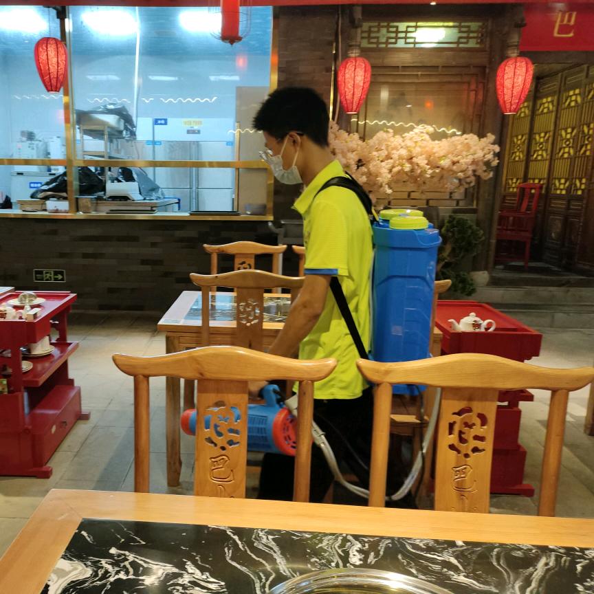深圳诚心虫控-上门除甲醛 除蟑螂 灭老鼠