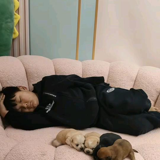 毓秀宫的罗婉莹头像