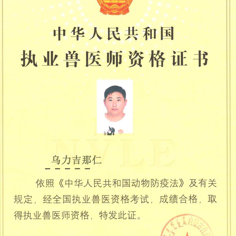 兽医那仁