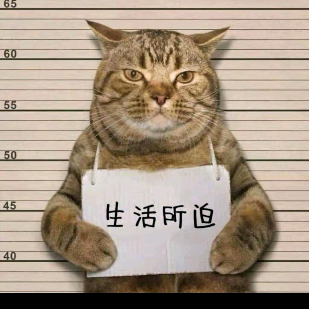 真老喵