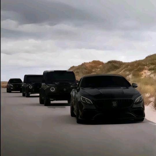 欣艺（张氏集团）