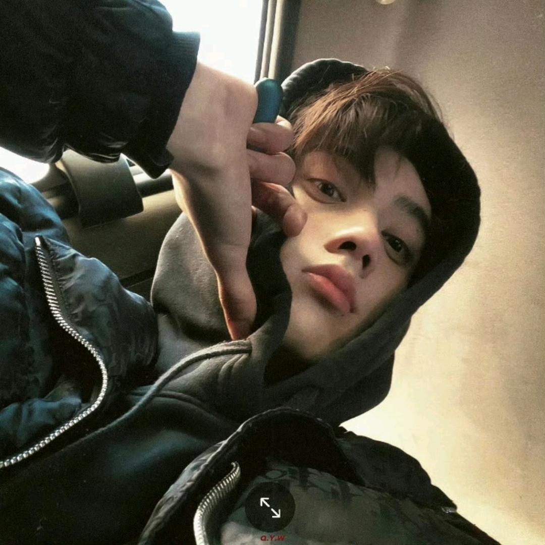 铁观音奶冻（见过田栩宁版）