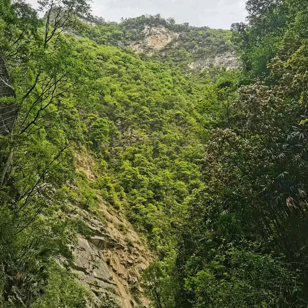 笑对人生