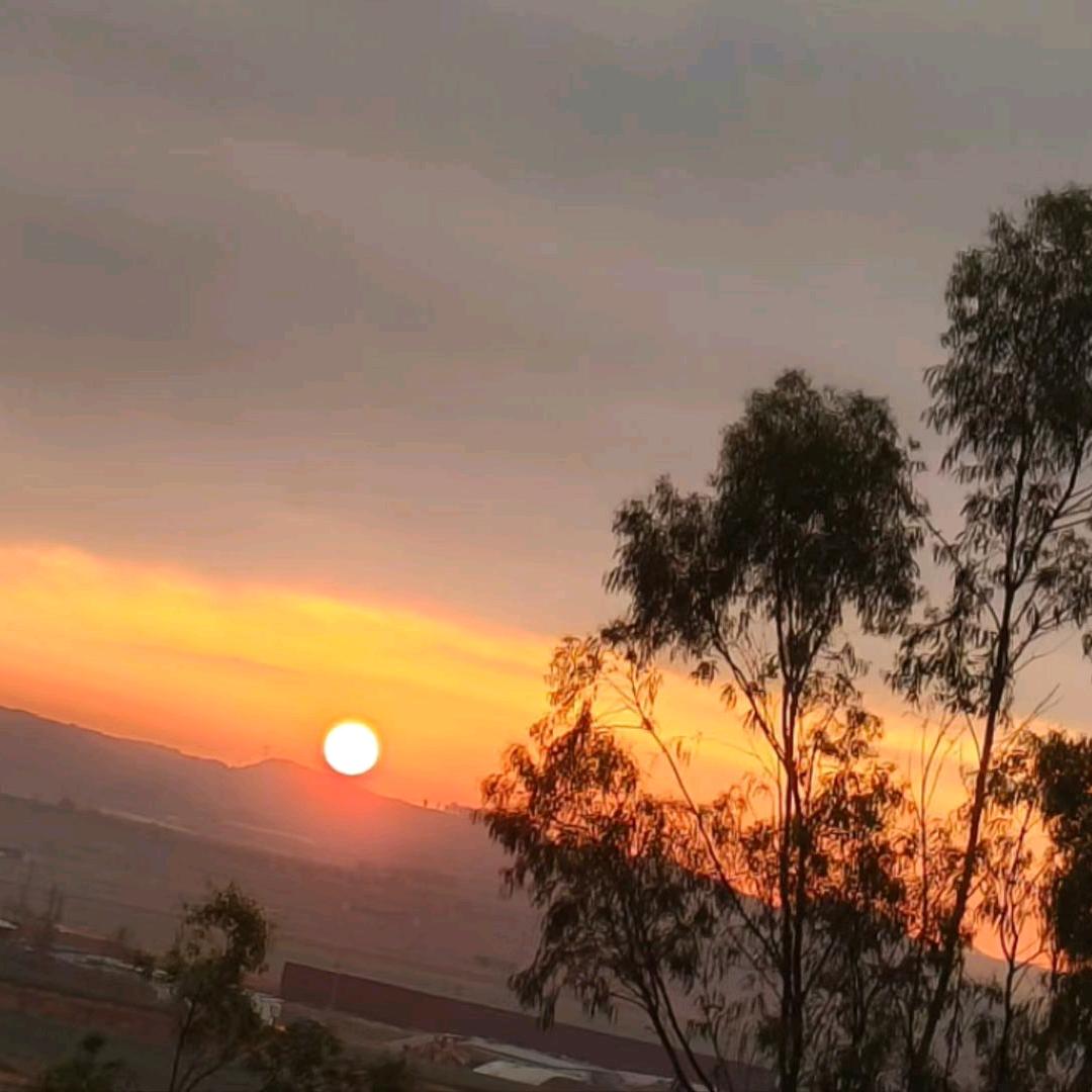 🦅一🦅生🦅有🦅你