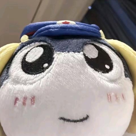 还是蒜鸟吧