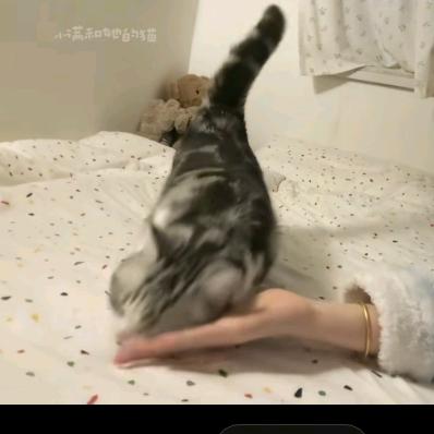火火