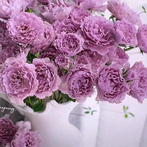 （秋风）余生善待自己