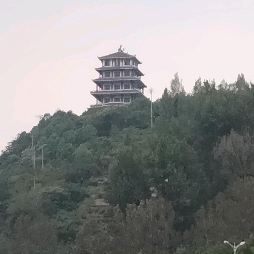 在也回不到从前