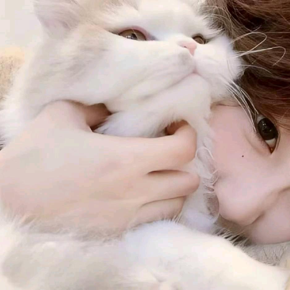 小劫（126国服）