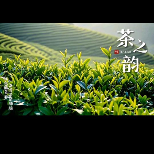 (ಡ前途ω吴量ಡ)