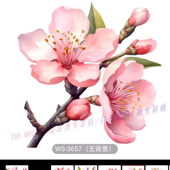 王翊宸